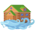 Flood Insurance